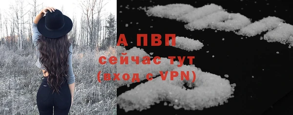 ГАЛЛЮЦИНОГЕННЫЕ ГРИБЫ Нея