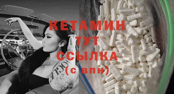 прущие грибы Новодвинск